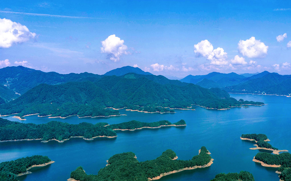 넓게 펼쳐진 푸른강들과 초록빛깔 나무들로 뒤덮힌 악어모양의 섬들