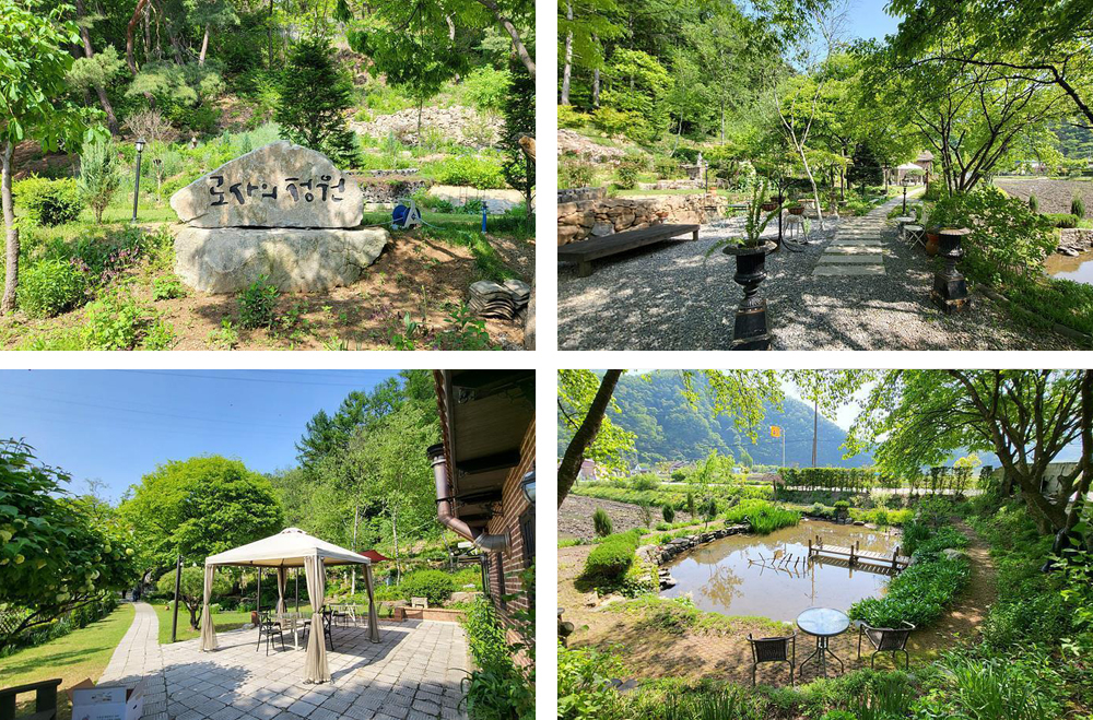 로사의 정원 이미지