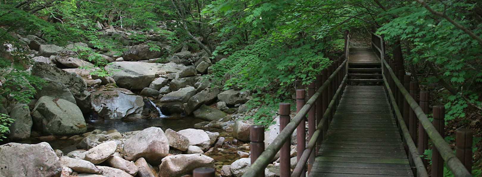 만수계곡 사진