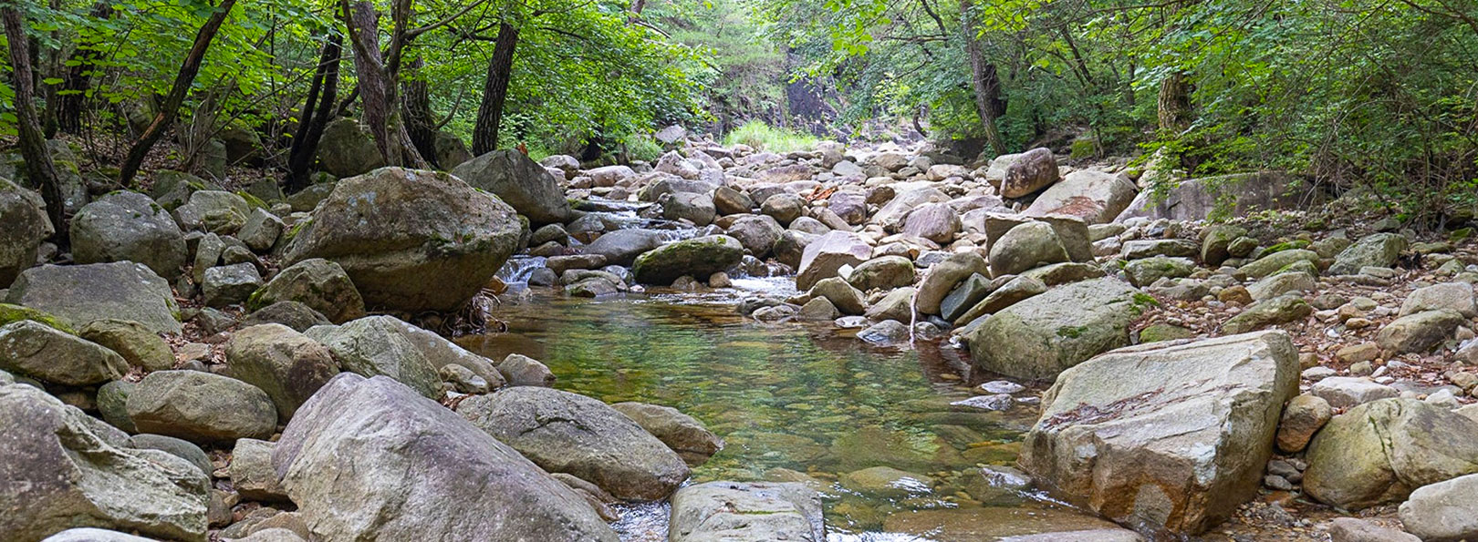 능강계곡 사진