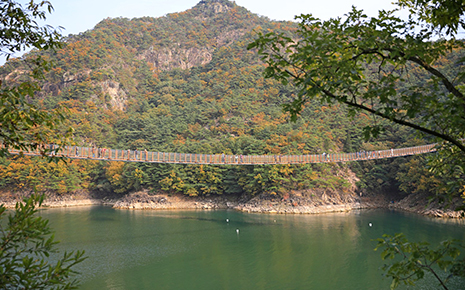 옥순봉 출렁다리 사진1