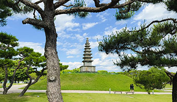 중앙탑사적공원 사진