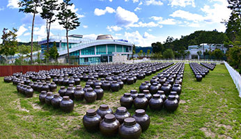 국제발효박물관 사진
