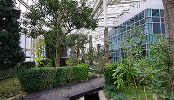 약초허브식물원 사진