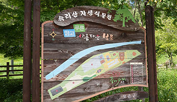 속리산 자생식물원 사진