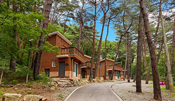 조령산 자연휴양림 사진