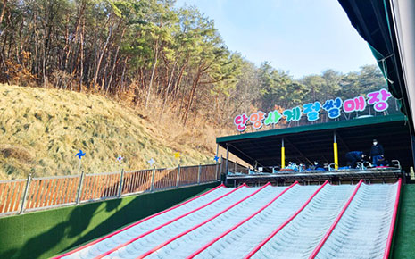 사계절 썰매장 사진1
