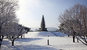 중앙탑사적공원 사진