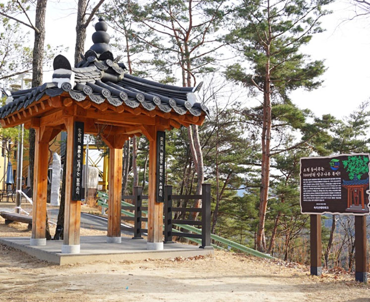 보은속리산테마파크(목탁봉 전망대) 사진3