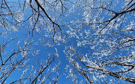 소백산국립공원(비로봉) 사진2