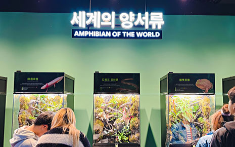 충주아쿠아리움 사진1