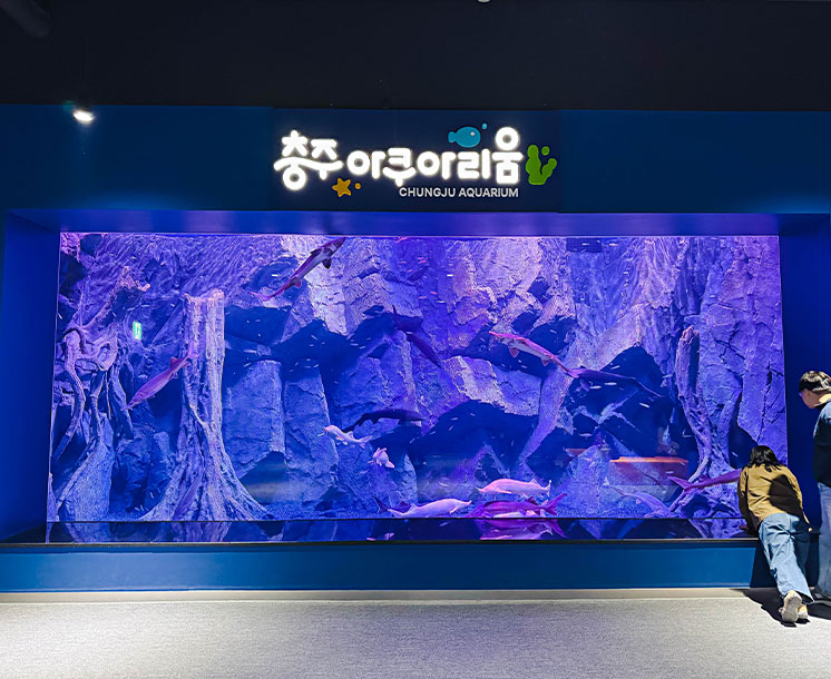 충주아쿠아리움 사진3