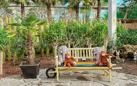 아열대스마트온실 사진2