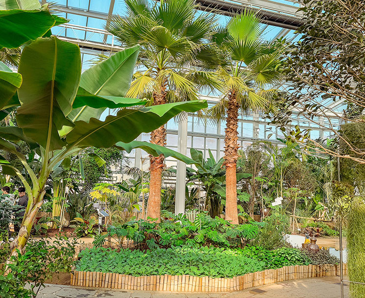 아열대스마트온실 사진3