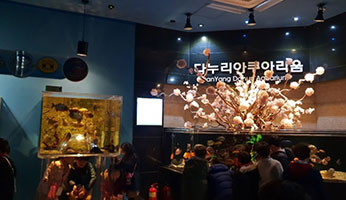 다누리아쿠아리움 사진