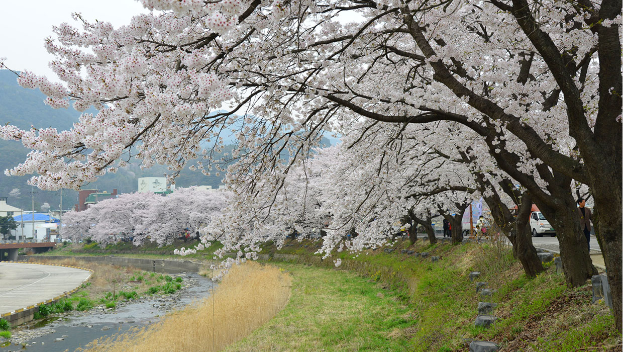 수안보 족욕길(수안보 온천제) 이미지