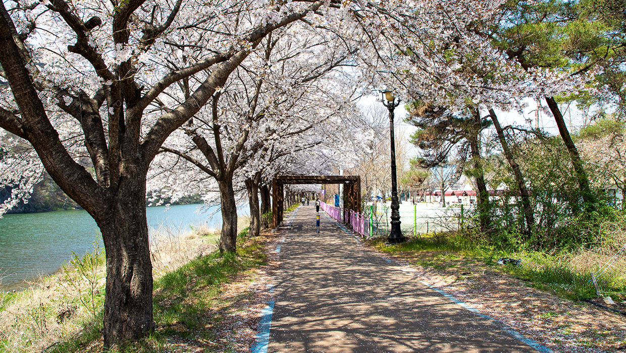 괴강둘레길(오천자전거길) 이미지
