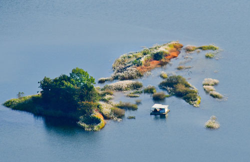 수초와 나무로 이루어진 작은 섬 사이에 떠있는 수상 좌대