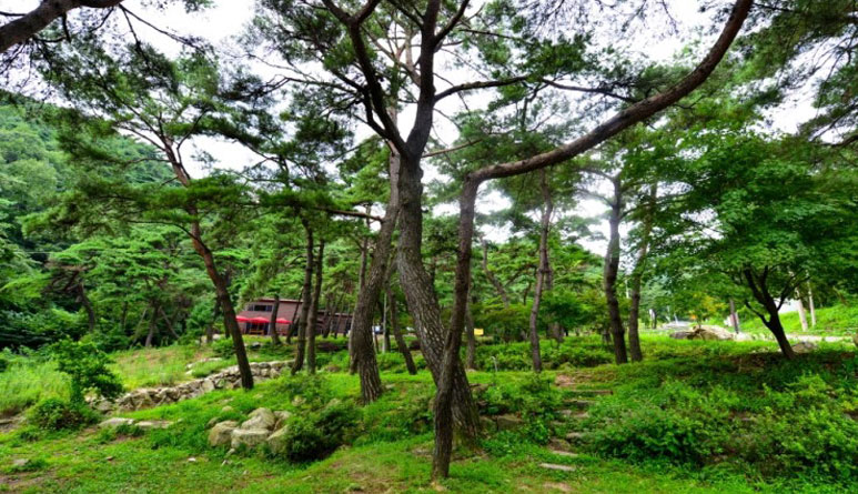 박달재자연휴양림의 산책길