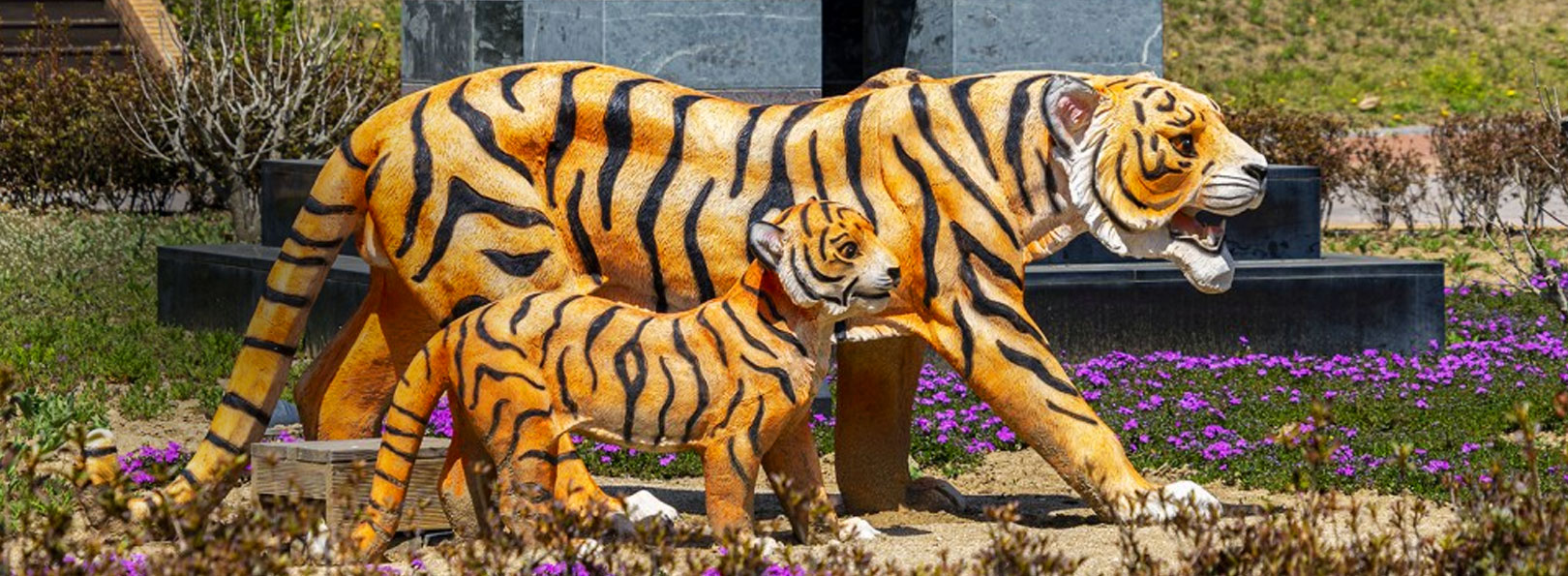 용두공원 호랑이 동상 모습