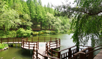 미동산 수목원 사진