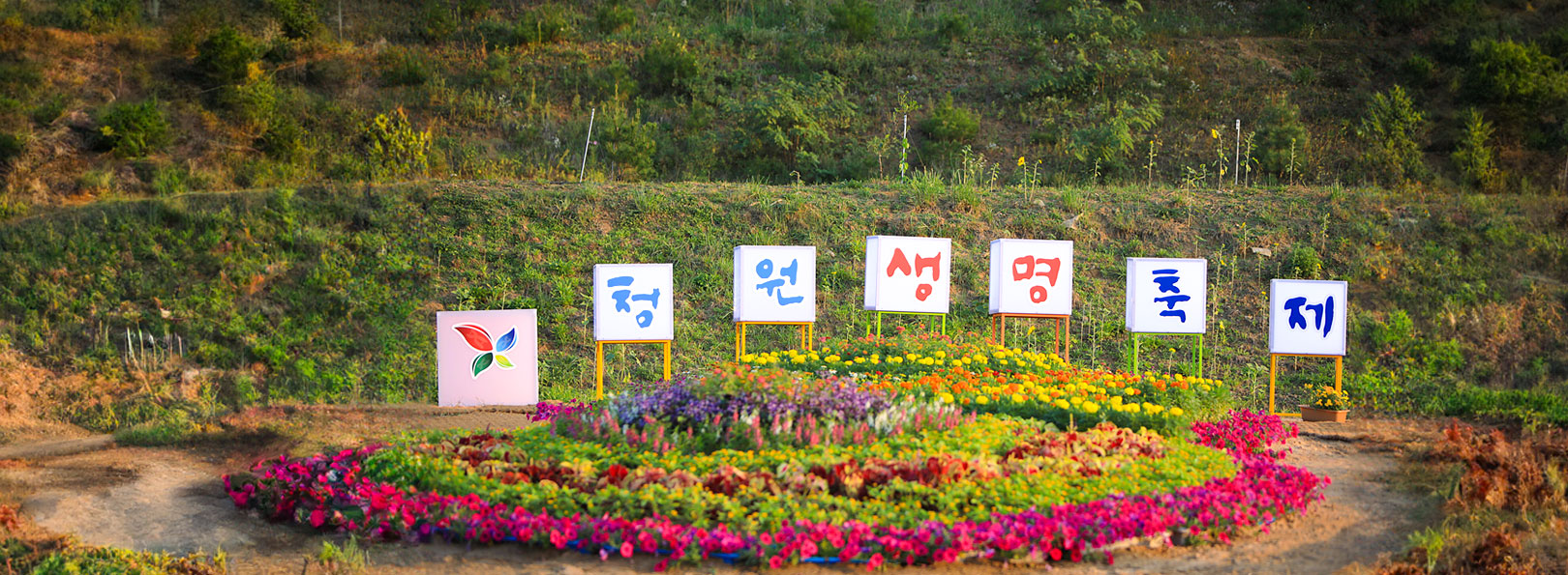 청원생명축제 사진