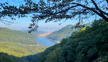 좌구산분젓치산새길 사진