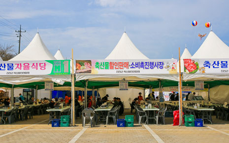 생거진천문화축제 사진2