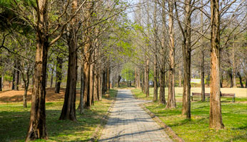 오창호수공원 사진