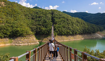 옥순봉 출렁다리 사진