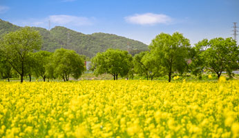 친수테마공원 이미지