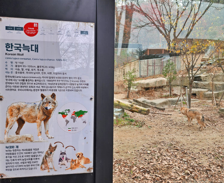 청주동물원 사진3