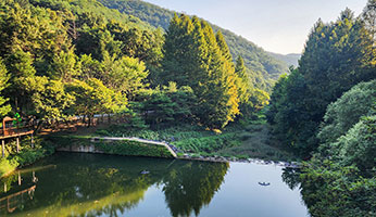 미동산수목원 사진