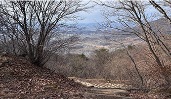 남산 사진