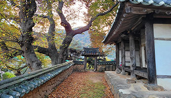 애한정 사진