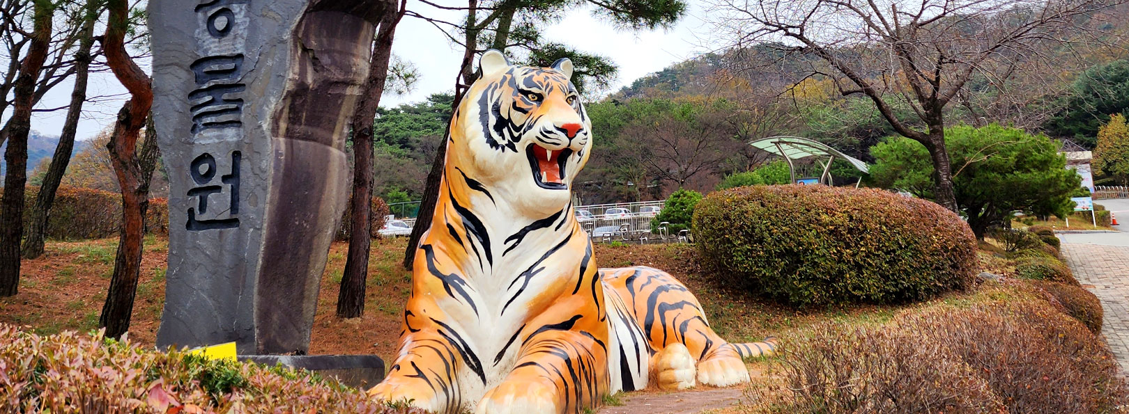 청주동물원 사진