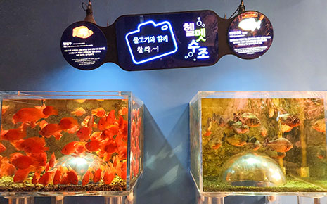 마차 박물관 사진1